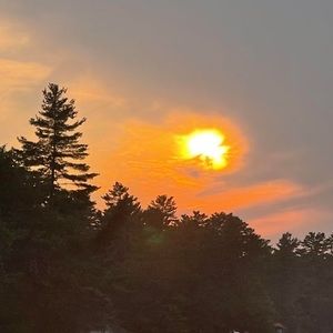 Meet your Posher, Charlotte